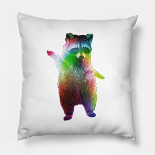 Rainbow Raccoon Pillow