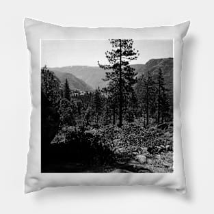 Near Hetch-Hetchy in Yosemite N.P. Pillow