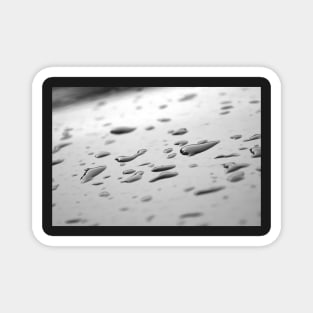 After the rain, black and white raindrops photography Magnet