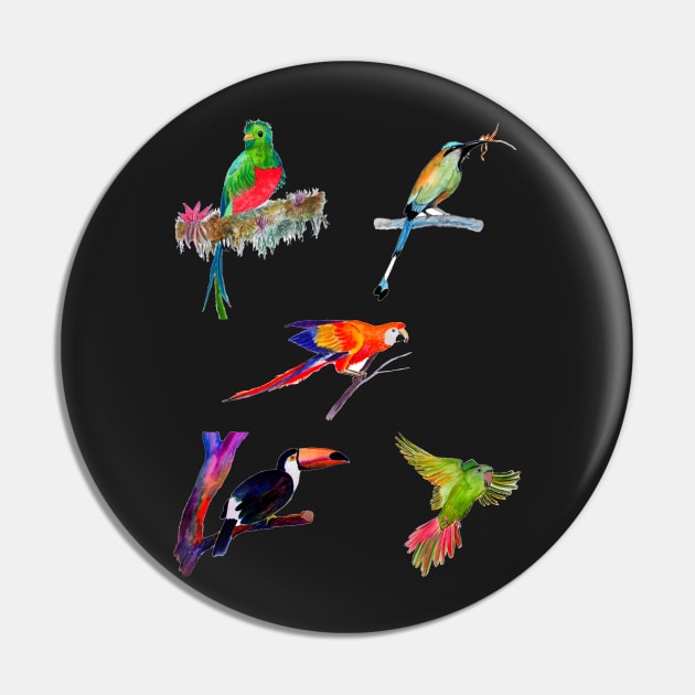 Tropical Birds - Parrot, Quetzal, Motmot, Toucan, Macaw Pin by julyperson