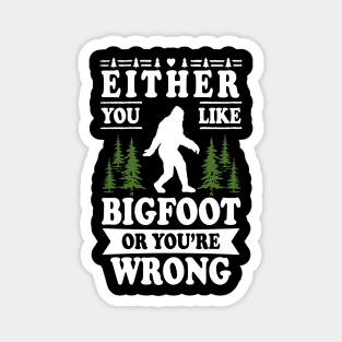 Either You Like Bigfoot Or You're Wrong Magnet