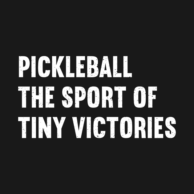 pickleball the sport by trendynoize