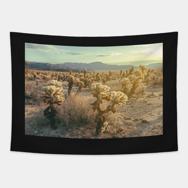 Cholla Garden Tapestry by jvnimages