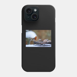 Robin Redbreast in winter Phone Case