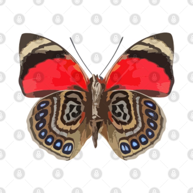 Claudina Butterfly Digital Painting by gktb