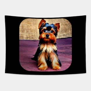 Yorkshire Terrier Puppy Tapestry