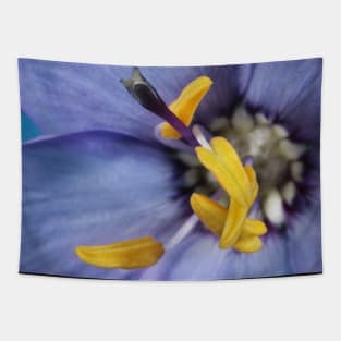 Wildflower Blue Tapestry