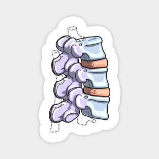 Lumbar Vertebrae Illustration Magnet