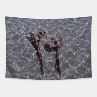 Dancing cactus flowers in water ripples Tapestry