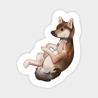 Cozy Shiba Inu (Sesame Variant) Magnet