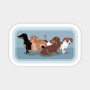 Dachshund DOGS Magnet