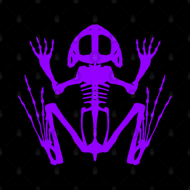 Frog Skeleton (Purple) by braincase