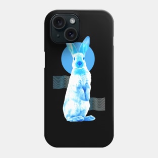 Year of the Water Rabbit Phone Case