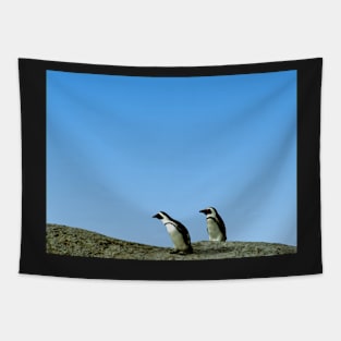 Pair of African Penguins, Boulder Beach, South Africa Tapestry