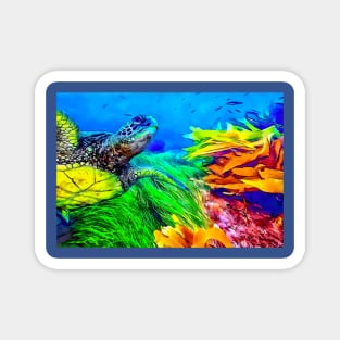 “Sea Turtle Adventures - Coral Reef Swim” Magnet