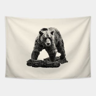 Brown bear Tapestry