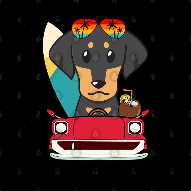 Surfer dachshund driving to the beach by Pet Station