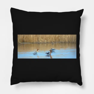 American Avocets illustration Pillow