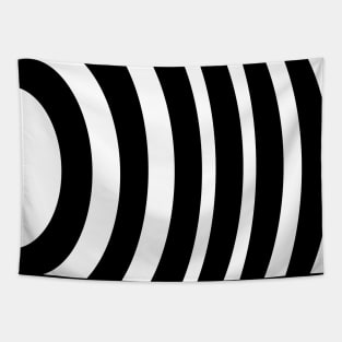 Zebra Sphere Tapestry