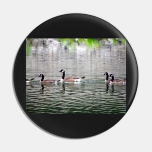 Geese on Peaceful Pond Country Living Photograph Beautiful Photography Art Geese on Lake Pin