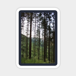 Trees of Glen Nevis Magnet