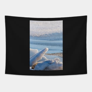 Baltic Sea Tapestry
