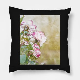 Light pink roses Pillow