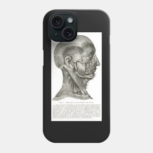 Muscles of the Face and Neck, 19th century illustration Phone Case