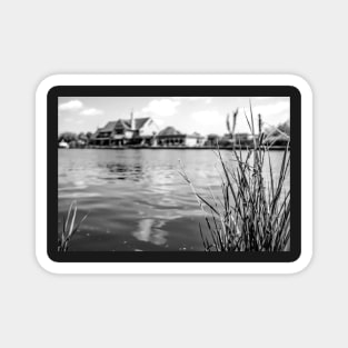 Reeds on the bank of the River Bure, Horning Magnet