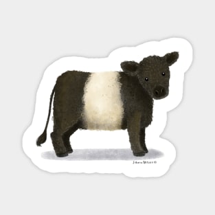 Belted Galloway Cattle Magnet