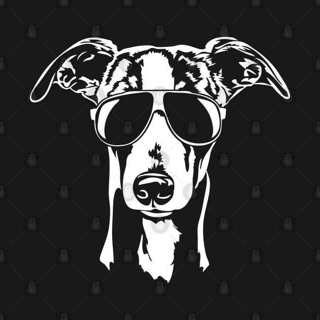 Whippet with sunglasses cool dog gift by wilsigns