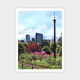 Boston MA - Boston Commons and Skyline Magnet