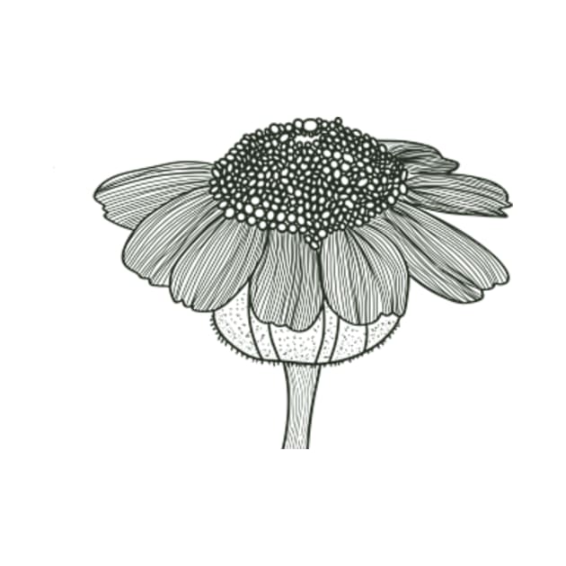 Sunflower Black and White Line Art by WalkSimplyArt