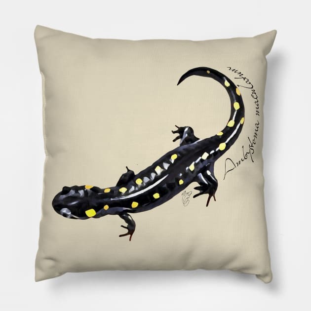 Spotted salamander art with scientific name Pillow by austinmg