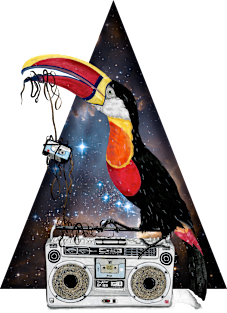 Tucan Old Stereo Magnet