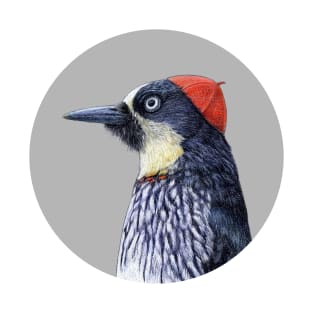 Acorn woodpecker T-Shirt