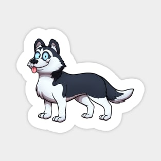 Siberian Husky Magnet