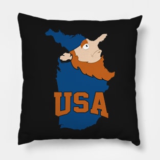 USA: a Funny Map Pillow