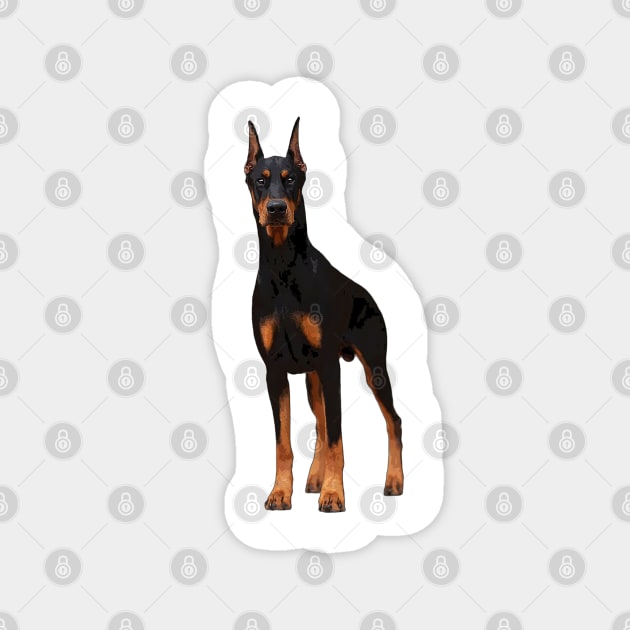 Doberman Pinscher Dog Elegance Magnet by ElegantCat
