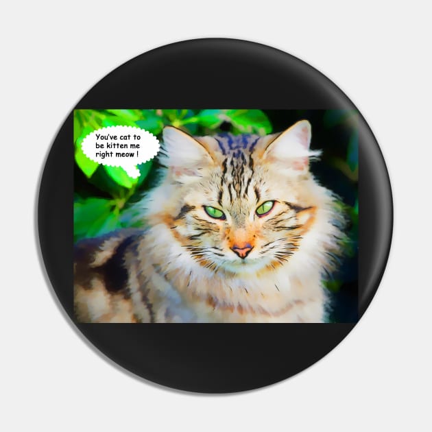 You've Cat to be Kitten Me Right Meow Pin by jillnightingale