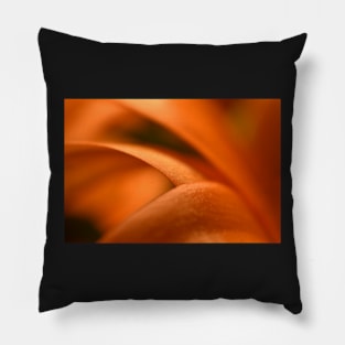 Orange flower petals Pillow