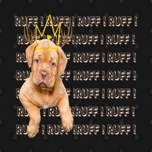 Puppy king by BRIJLA