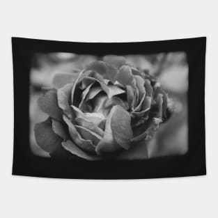 Vintage rose on a black and white film Tapestry