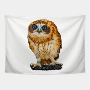 Billy the Boobook Owl Tapestry