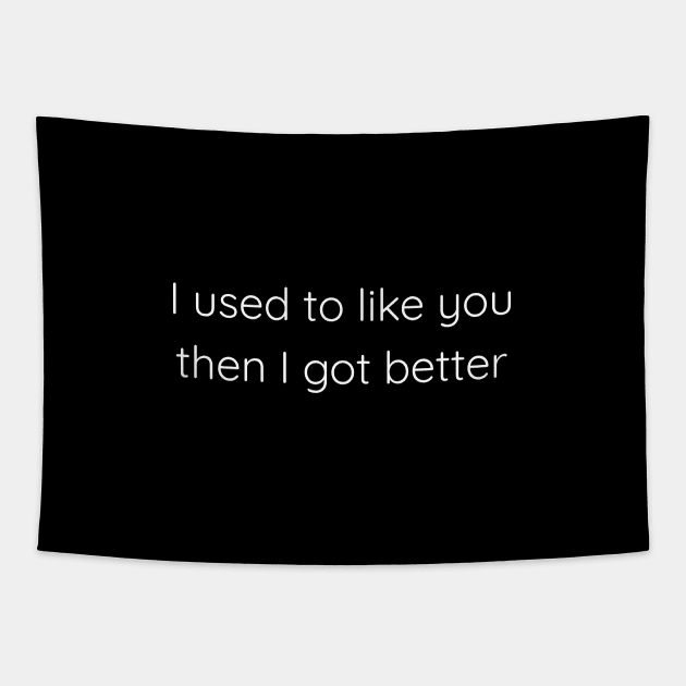 I Used To Like You Then I Got Better Tapestry by Axiomfox