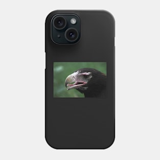 Australian Wedge-tailed Eagle Portrait #1. Phone Case