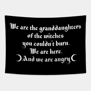 We are the granddaughters of the witches you couldn't burn 2.1 Tapestry