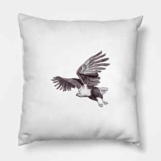 African Fish Eagle Pillow