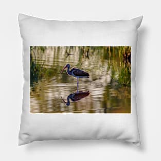 Immature White Ibis at Sunrise Pillow