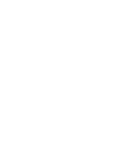 BIKER - LIVE FREE RIDE FREE Magnet